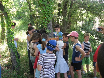 école de Méthamis 2009