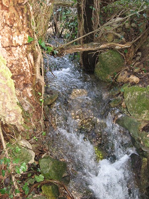 La source de la Nesque