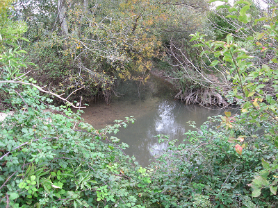confluence de la Nesque