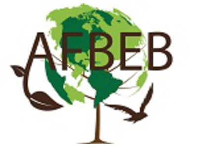 AFBEB