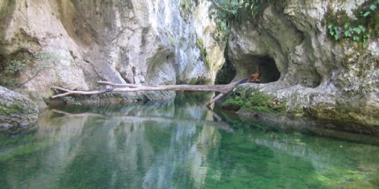 une vasque dans les gorges