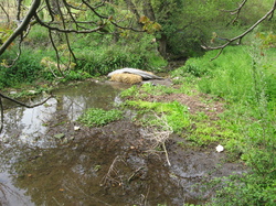 Réparation  des dégats