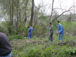 Une journée pour la Nesque 20 Avril 2013