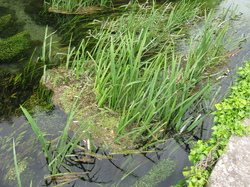 Les cascades du Sautadet