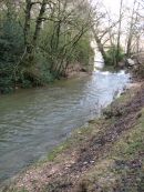 Aprés la fonte des neiges à Monieux