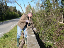 11 Avril 2015 La Cheylude à Pernes