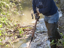 11 Avril 2015 La Cheylude à Pernes