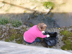 11 Avril 2015 La Cheylude à Pernes