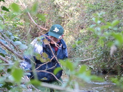 11 Avril 2015 La Cheylude à Pernes