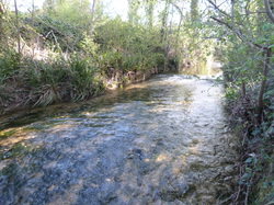11 Avril 2015 La Cheylude à Pernes