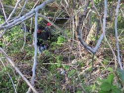 11 Avril 2015 Les Seigneuroles à Pernes