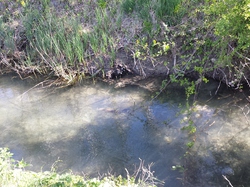 11 Avril 2015  Pernes les fontaines la vitriére