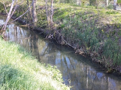 11 Avril 2015  Pernes les fontaines la vitriére