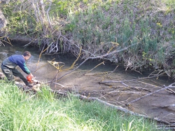 11 Avril 2015  Pernes les fontaines la vitriére