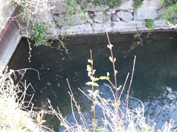 11 Avril 2015  Pernes les fontaines la vitriére