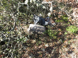 11 Avril à Méthamis