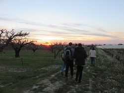 12 ème Nuit de la Chouette