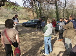 12 ème Nuit de la Chouette