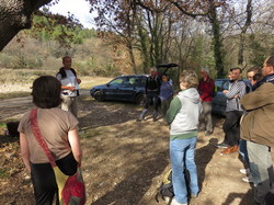12 ème Nuit de la Chouette