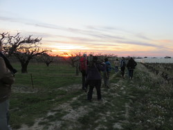 12 ème Nuit de la Chouette