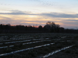 12 ème Nuit de la Chouette