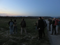 12 ème Nuit de la Chouette