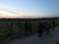 12 ème Nuit de la Chouette