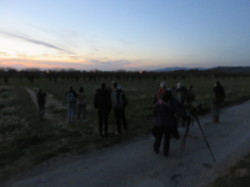 12 ème Nuit de la Chouette