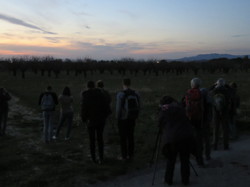 12 ème Nuit de la Chouette