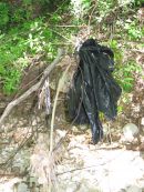 Le 16 mai 2009 à Saint Didier et au Beaucet