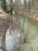 Aprés la fonte des neiges à Monieux