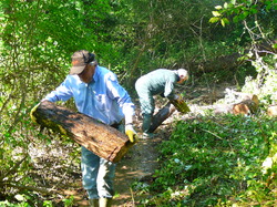 4 Une journée pour la Nesque 2014 le Rieu Venasque