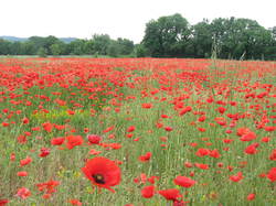 5 une journée pour la Nesque 2014 St Philippe Pernes