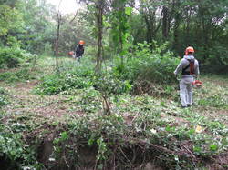 5 une journée pour la Nesque 2014 St Philippe Pernes