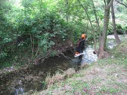 5 une journée pour la Nesque 2014 St Philippe Pernes