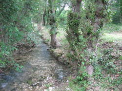 5 une journée pour la Nesque 2014 St Philippe Pernes