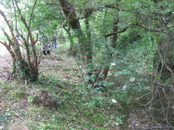 5 une journée pour la Nesque 2014 St Philippe Pernes