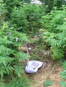 Journée Sorgues Propres