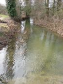 Aprés la fonte des neiges à Monieux