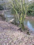 Aprés la fonte des neiges à Monieux