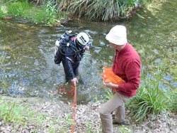 8 une journée pour la Nesque 2014 club subaquatique islois