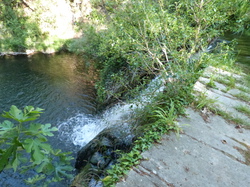 8 une journée pour la Nesque 2014 club subaquatique islois