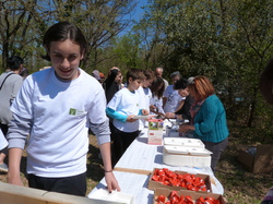 9 Avril 2016 déjeuner à St Barthélémy à Pernes les fontaines