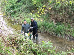 9 Avril 2016, Les Seigneurolles à Pernes