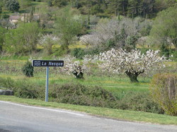 9 Avril 2016 , à Belle Croix entre Venasque et St Didier