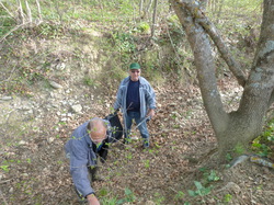 9 Avril 2016 , à Belle Croix entre Venasque et St Didier