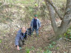 9 Avril 2016 , à Belle Croix entre Venasque et St Didier