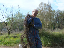9 Avril 2016 , à Belle Croix entre Venasque et St Didier