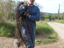 9 Avril 2016 , à Belle Croix entre Venasque et St Didier
