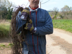 9 Avril 2016 , à Belle Croix entre Venasque et St Didier